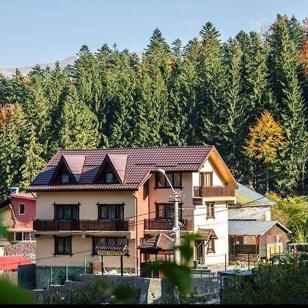 Hotel Casa Teleferic Buşteni Exteriér fotografie