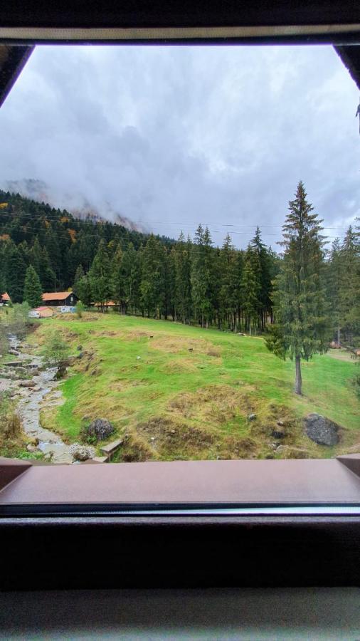 Hotel Casa Teleferic Buşteni Exteriér fotografie