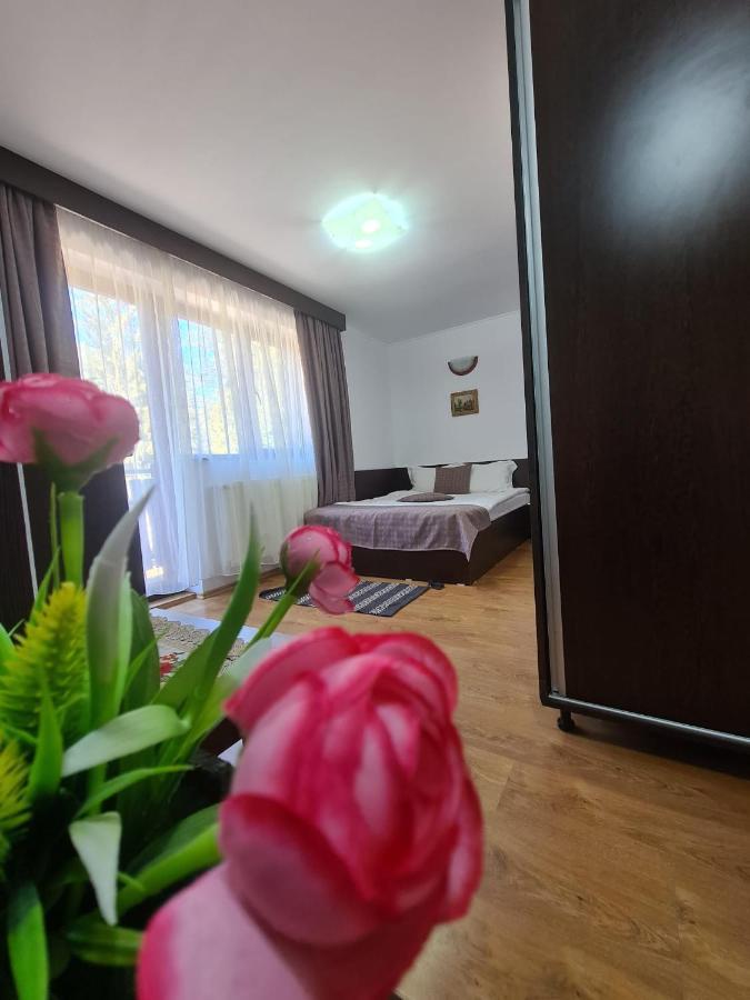 Hotel Casa Teleferic Buşteni Exteriér fotografie