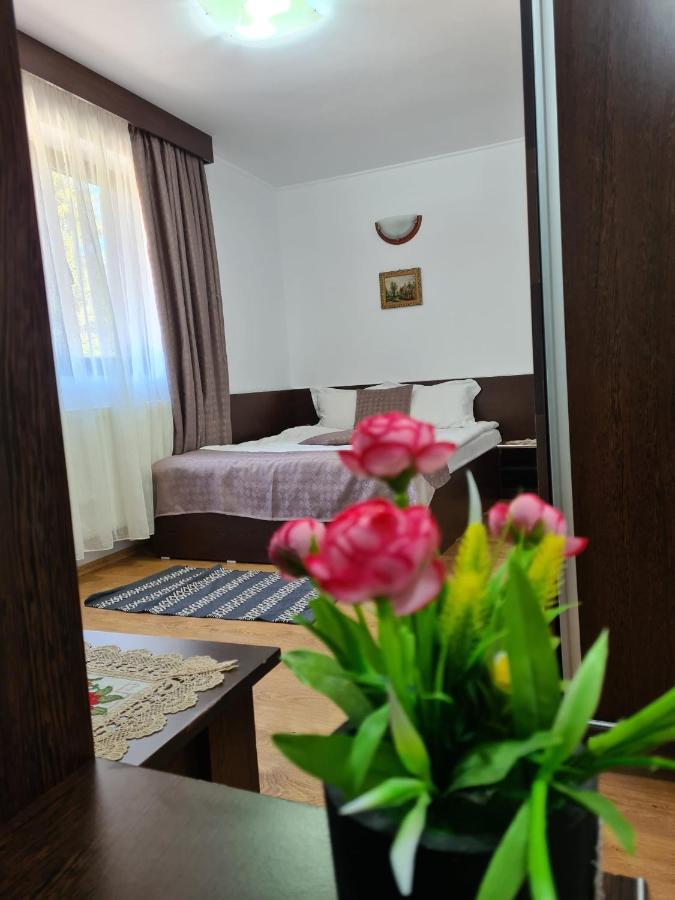 Hotel Casa Teleferic Buşteni Exteriér fotografie